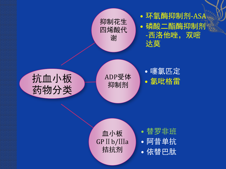 抗凝药和抗血小板药.pptx_第3页