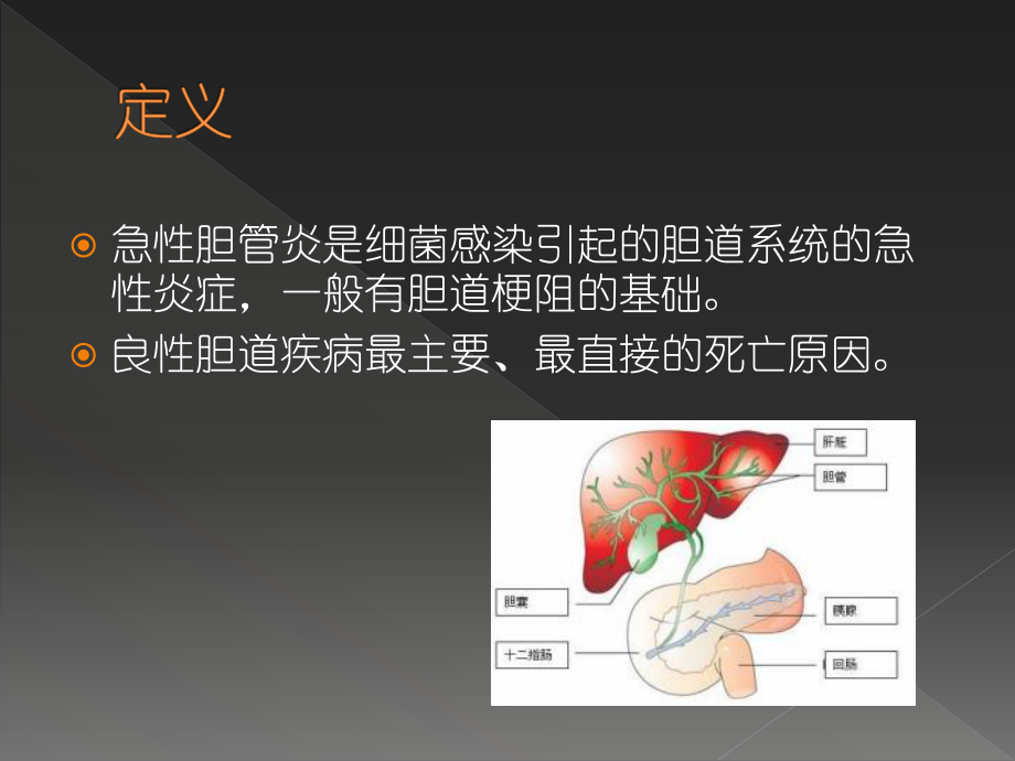 急性梗阻性化脓性胆管炎.ppt_第2页