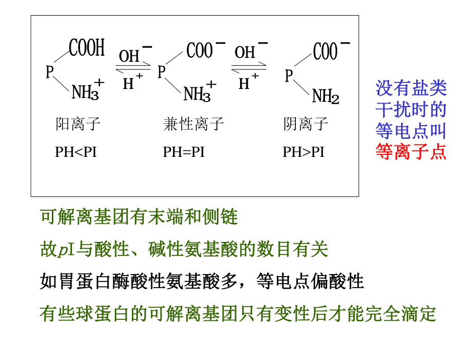 盐析沉淀蛋白质时.ppt_第3页