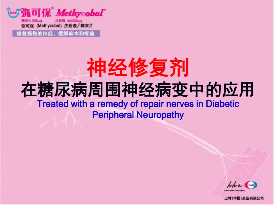 神经修复剂在DPN中的应用.ppt_第1页