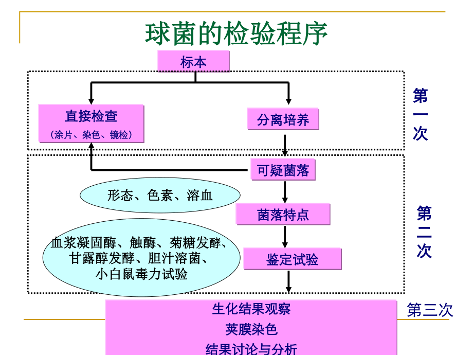 球菌和肠道杆菌病原学检测.ppt_第2页