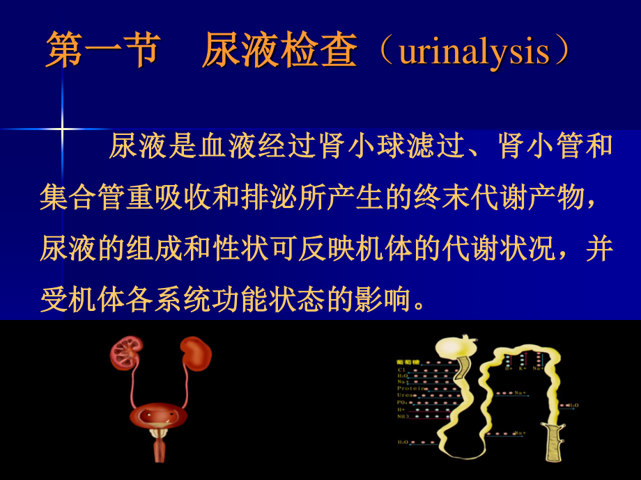 尿液jiance-4.ppt_第3页