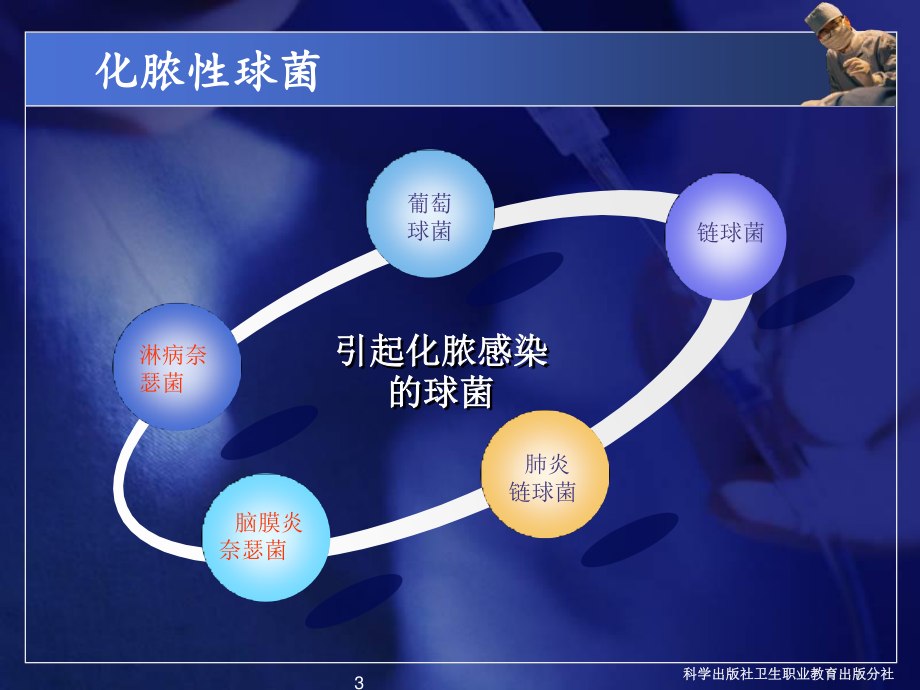 常见病原菌：化脓性细菌-PPT文档.ppt_第3页