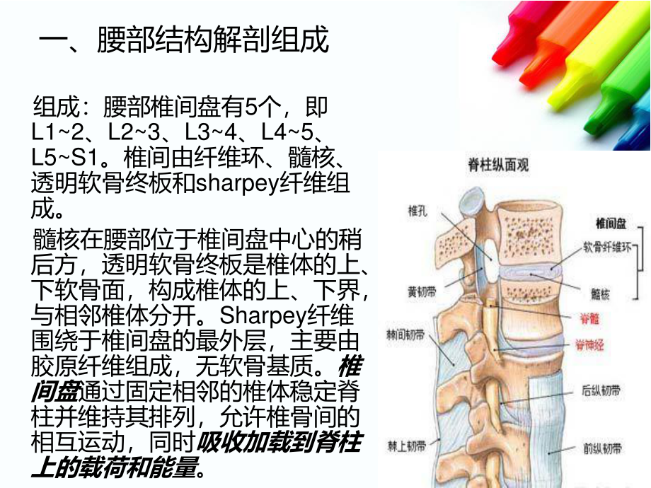 急性腰扭伤-3.ppt_第2页