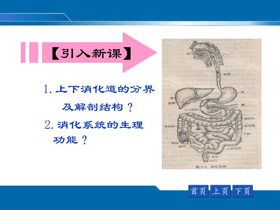 恶心、呕吐、呕血、黑粪、便血.ppt_第2页