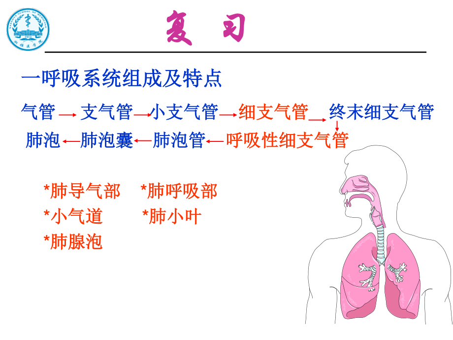 呼吸系统疾经典病.ppt_第2页