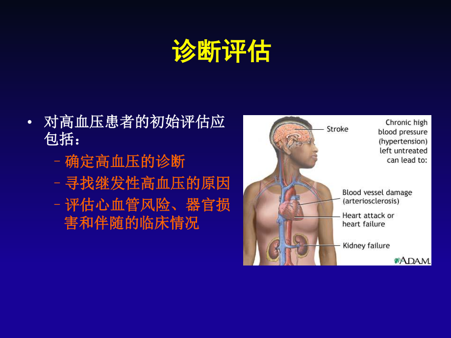 欧洲高血压指南解读.ppt_第3页