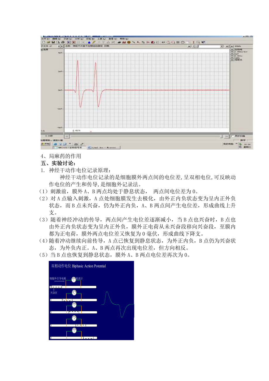 神经干动作电位及局麻药的作用.doc_第2页