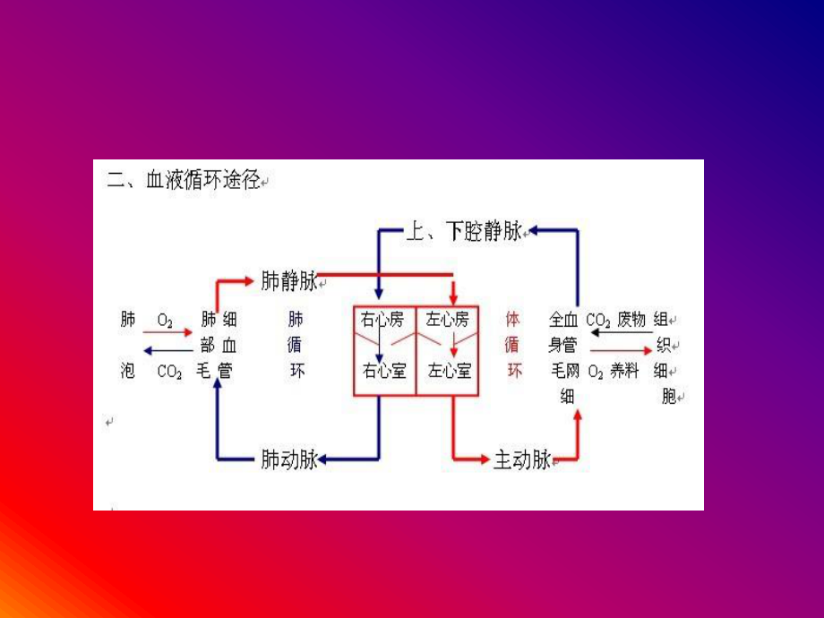 咯血的初步抢救.ppt_第2页