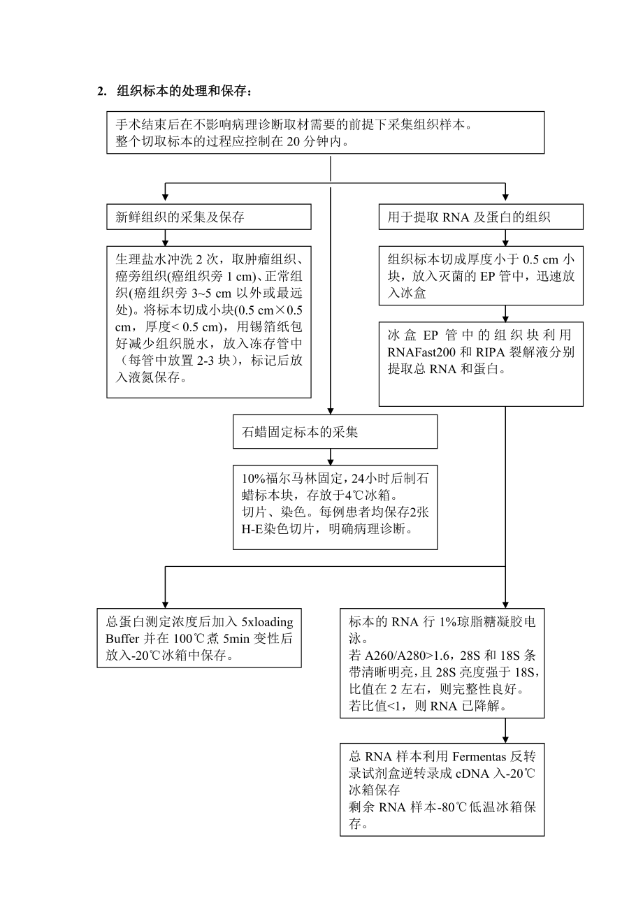 原发性肝癌组织库及数据库的建立.doc_第3页