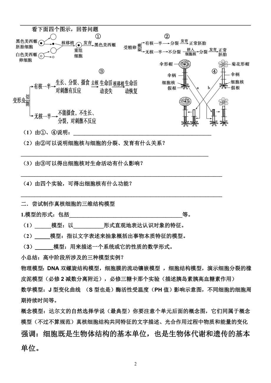 细胞核的结构和功能学案.doc_第2页