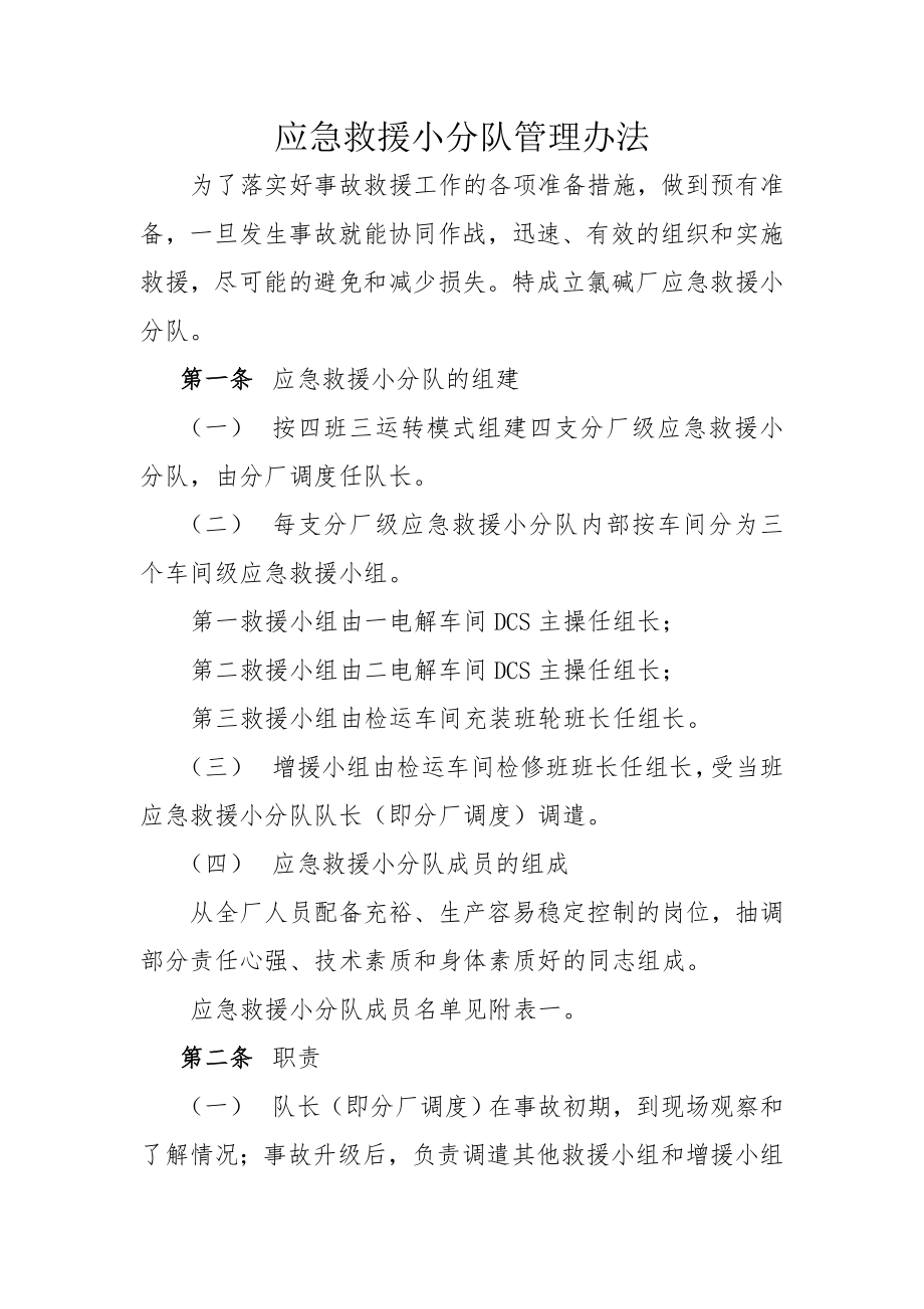 成立应急救援小分队.doc_第1页