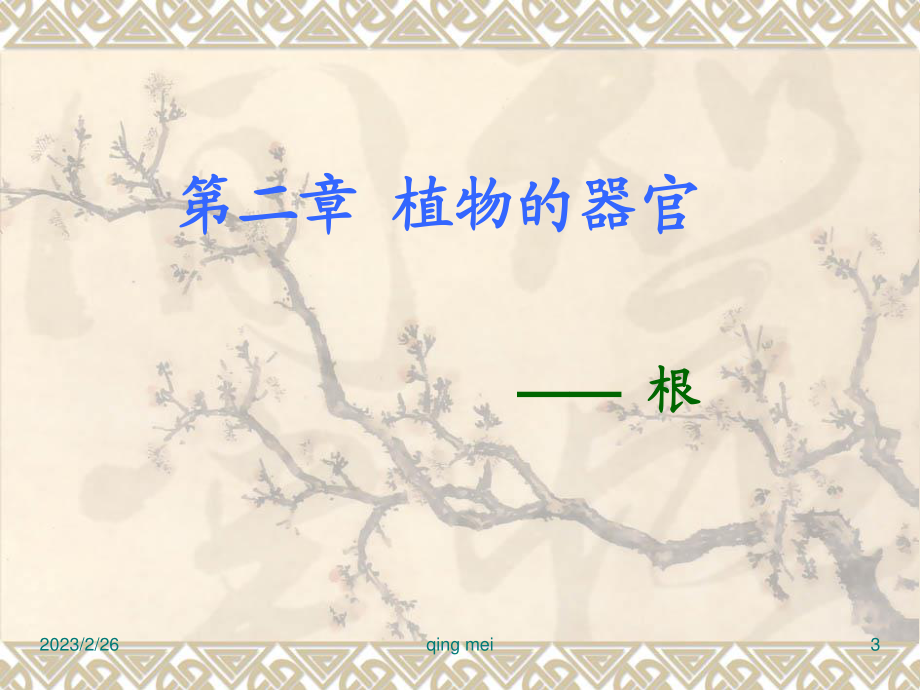 药用植物学与生药学-04根.ppt_第3页