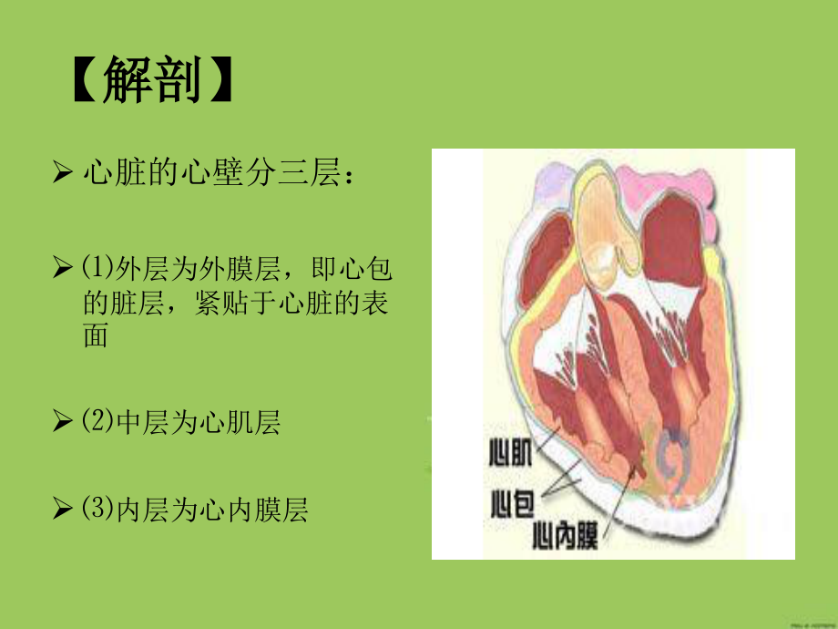 感染性心内膜炎----赖柳兰.ppt_第2页