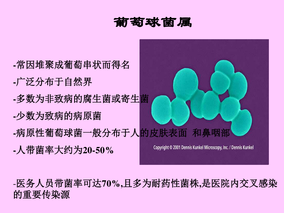 常见致病菌-1.ppt_第3页