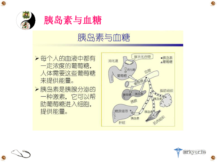 糖尿病(DM).ppt_第3页