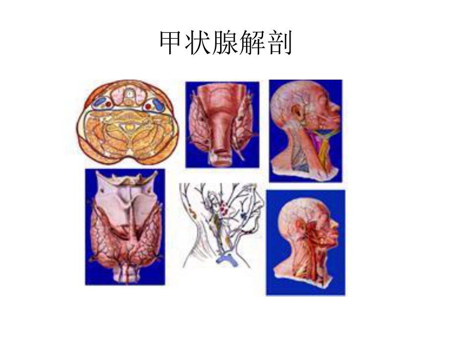 甲状腺的超声检查.ppt_第3页