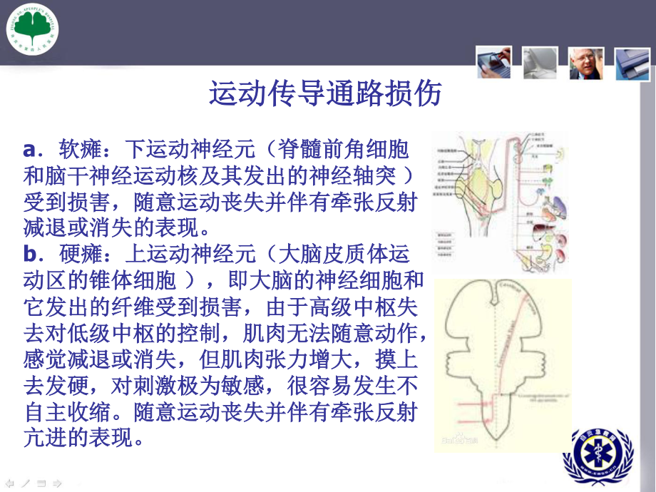 周围神经病损康复.ppt_第3页