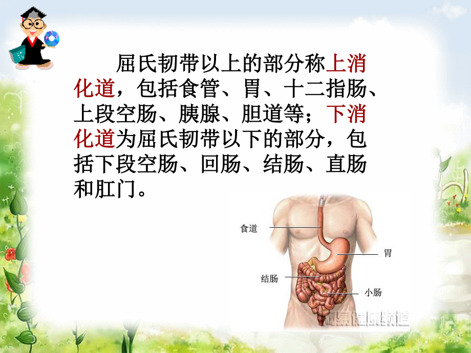 演示文稿上消化道出血.ppt_第2页