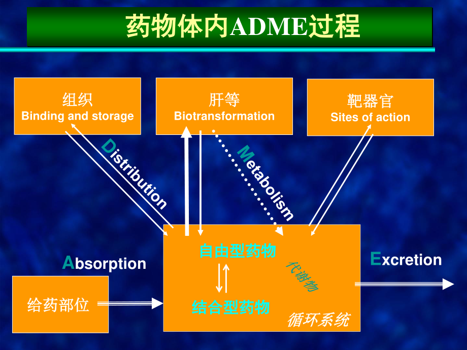 总论-药代动力学研究.ppt_第1页