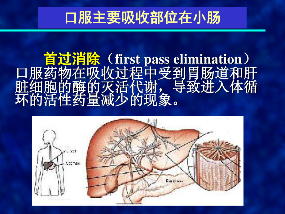 总论-药代动力学研究.ppt_第3页