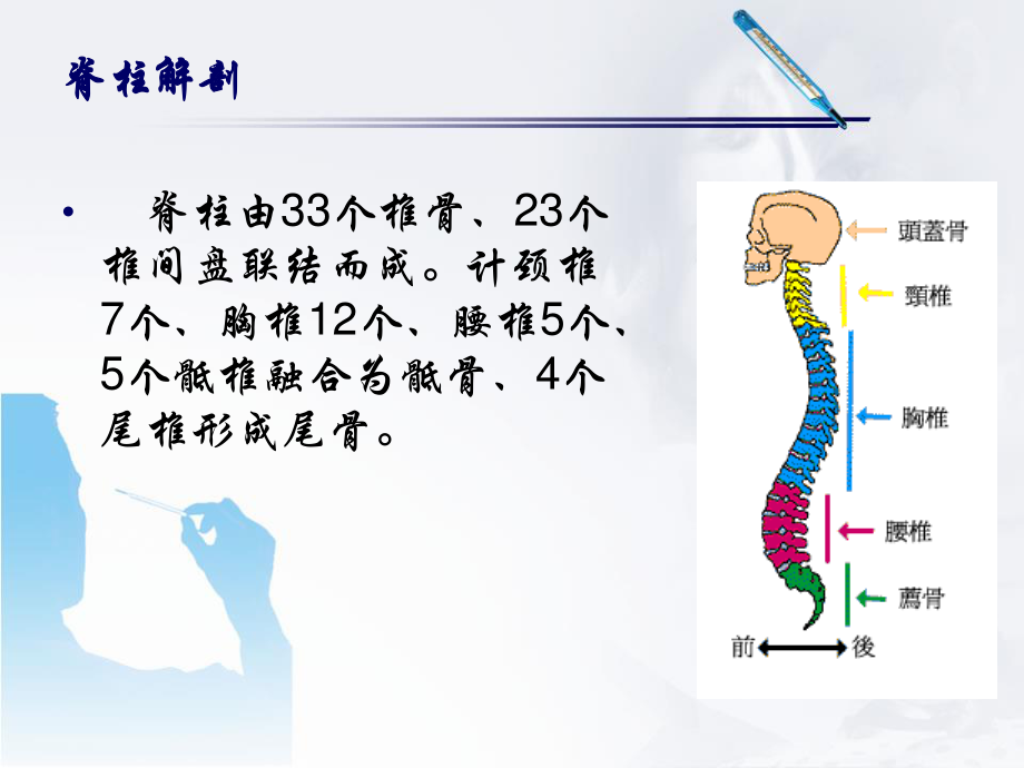 腰椎骨折前后路手术配合.ppt_第2页