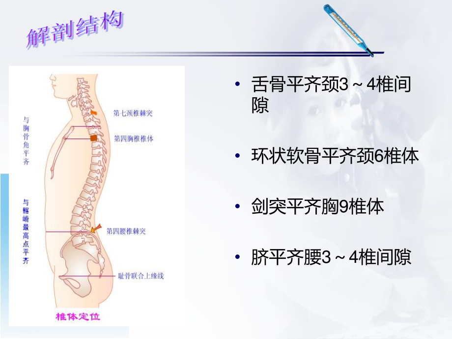 腰椎骨折前后路手术配合.ppt_第3页