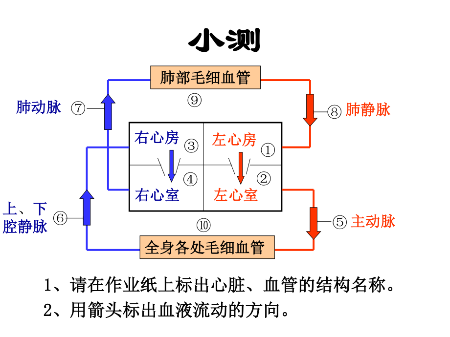 血压和脉搏.pptx_第1页