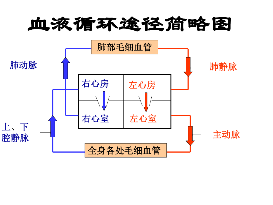 血压和脉搏.pptx_第3页