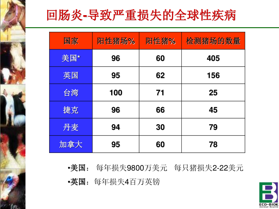 猪回肠炎---猪回肠炎简介.ppt_第3页