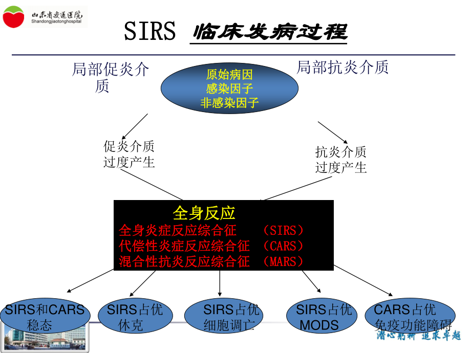 李丕宝----脓毒症休克血流动力学改变与循环支持.ppt_第3页