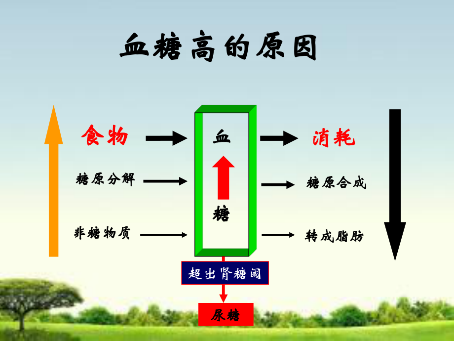 糖尿病运动.ppt_第3页