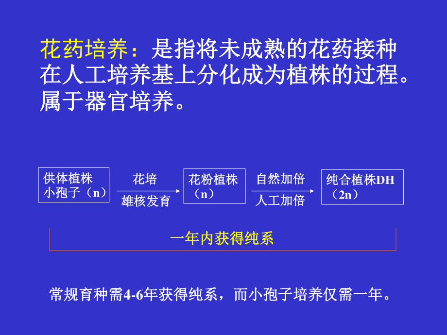 植物花药培养及单倍体植株鉴定-2015资料.ppt_第2页