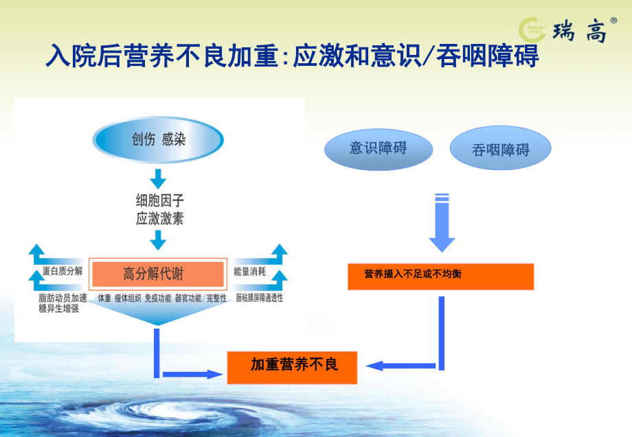 呼吸-瑞高-(2)1.ppt_第3页