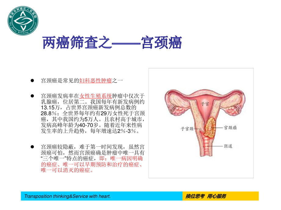 女性健康知识两癌讲座.ppt_第3页