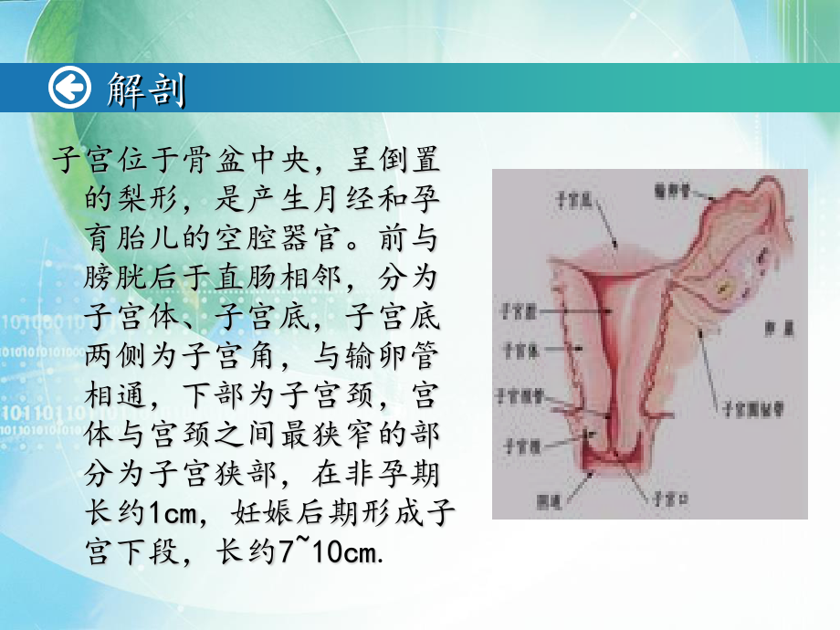 手术室11月查房.ppt_第3页