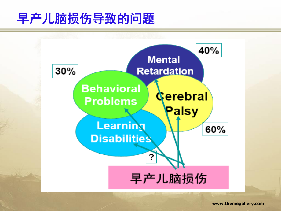 早产儿脑损伤2015年.ppt_第3页