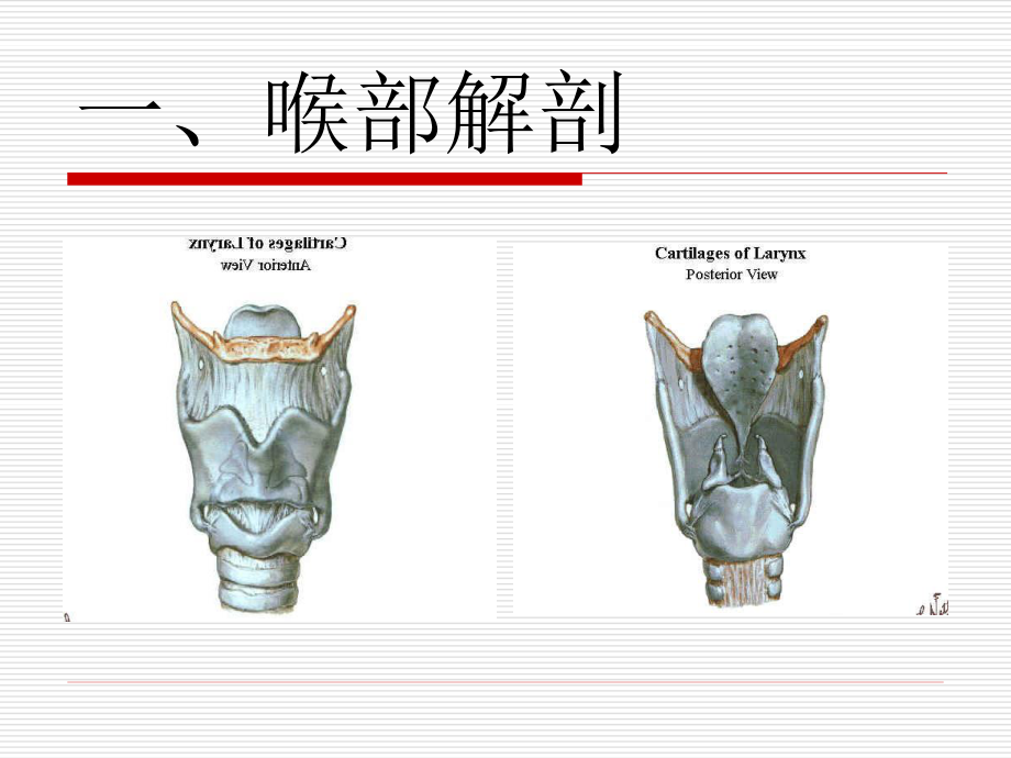 实用气管插管术.ppt_第1页