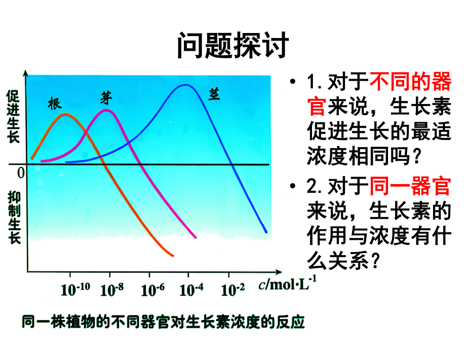 生长素的生理作用(2)...ppt_第2页