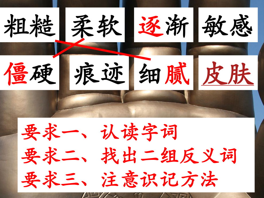 手上的皮肤.ppt_第3页