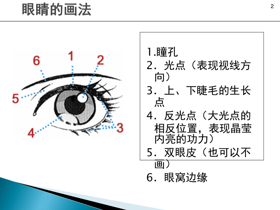 眼睛鼻子嘴巴耳朵的画法.ppt_第2页