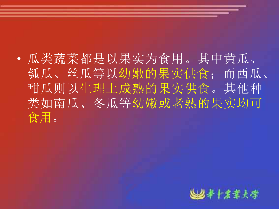 瓜类蔬菜栽培生理.ppt_第3页