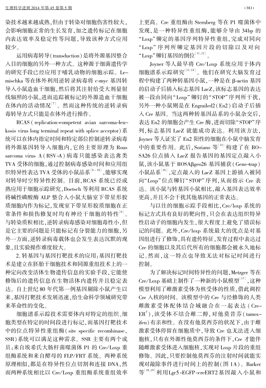 细胞谱系示踪技术.pdf_第3页