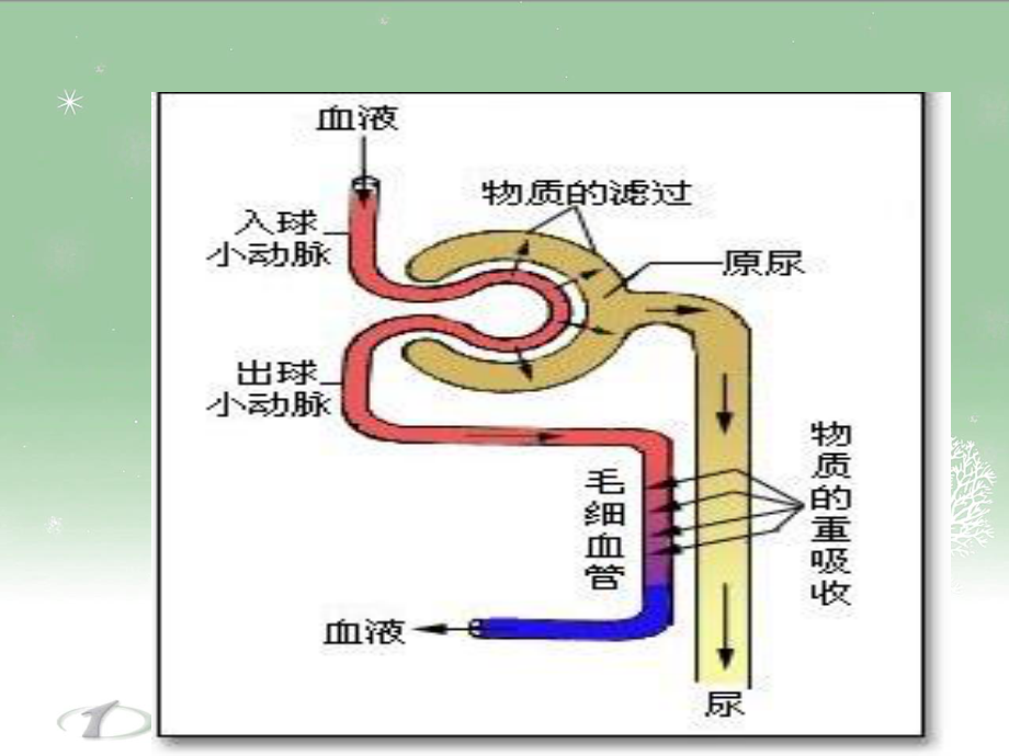 排泄物体液分泌物检查.ppt_第3页