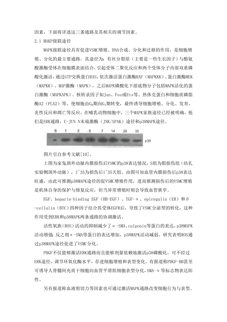 血管平滑肌细胞表型转换的机制.doc_第3页