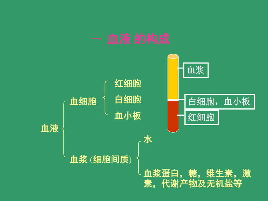 血液BLOOD--组织学和胚胎学.ppt_第3页