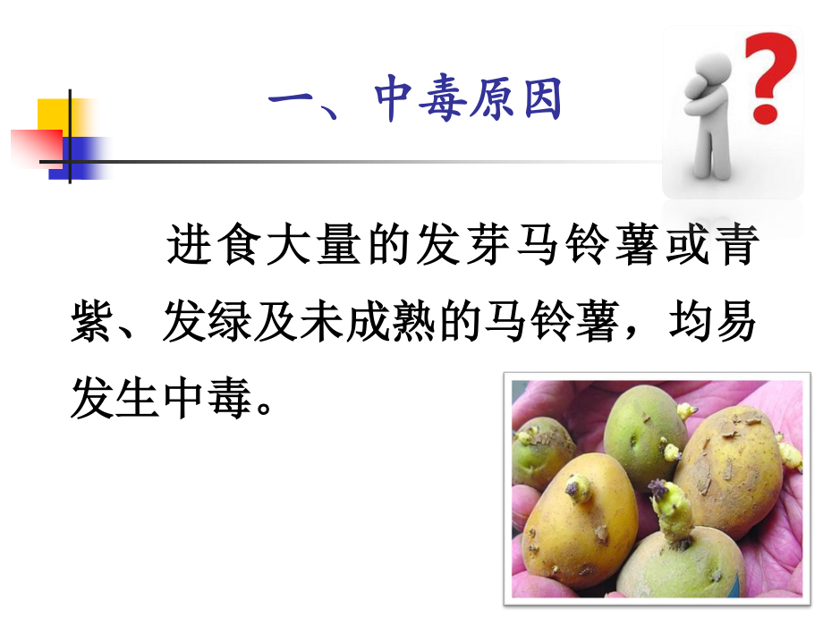 发芽马铃薯中毒(新).ppt_第3页