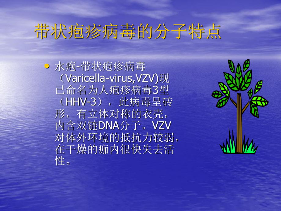 带状疱疹的诊疗现状.ppt_第3页