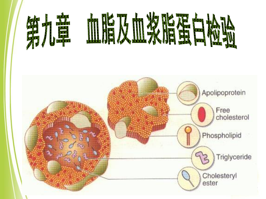 血脂及血浆脂蛋白检验.ppt_第1页