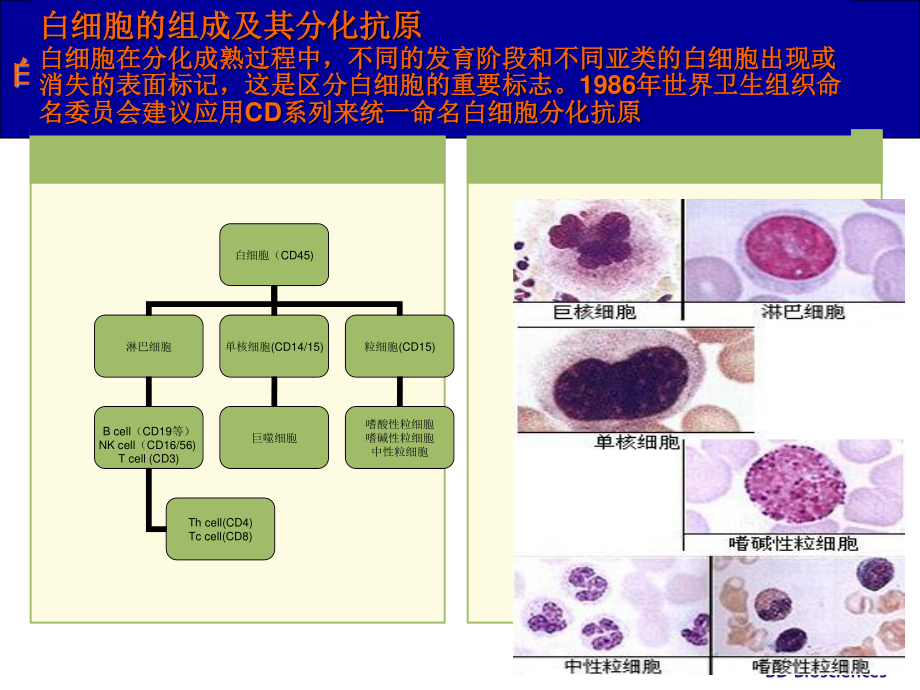 流式细胞仪原理及应用(HIV).ppt_第2页